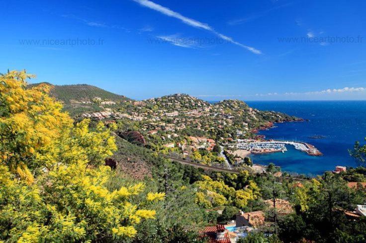 Superbe Appartement Avec Vue Mer Et Piscine Saint-Raphael  Luaran gambar